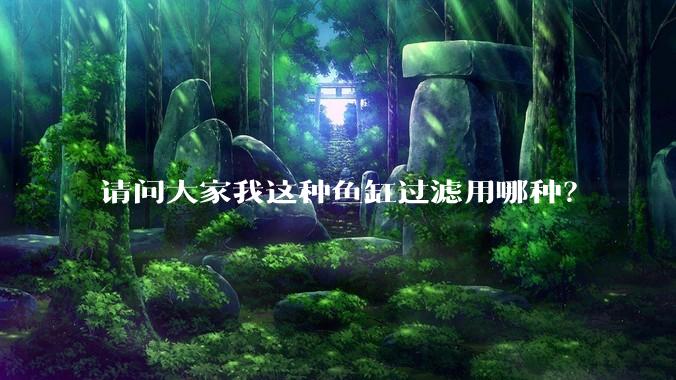 请问大家我这种鱼缸过滤用哪种？